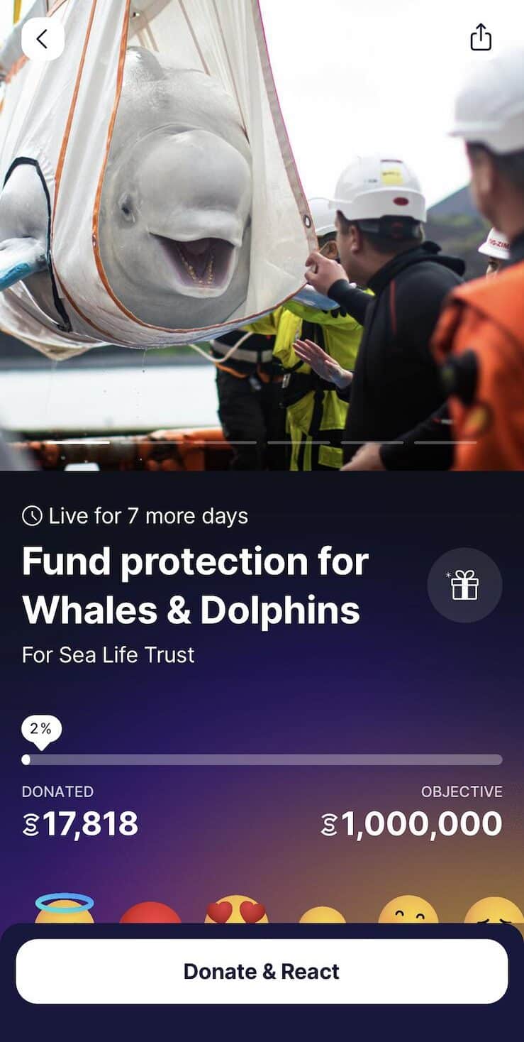 Sweatcoin app 中捐款給海豚保育組織