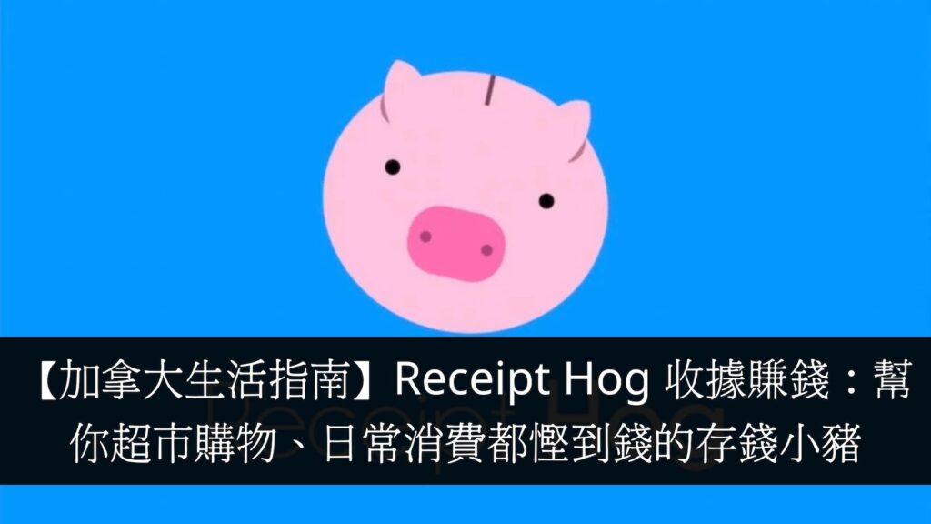 【加拿大生活指南】Receipt Hog 收據賺錢：幫你超市購物、日常消費都慳到錢的存錢小豬